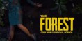 /album/fotogaleria/the-forest-game-walkthrough-jpg/